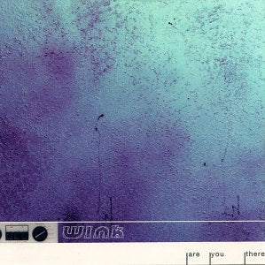 Are You There / Autumn Dayz Dance & Electronic
