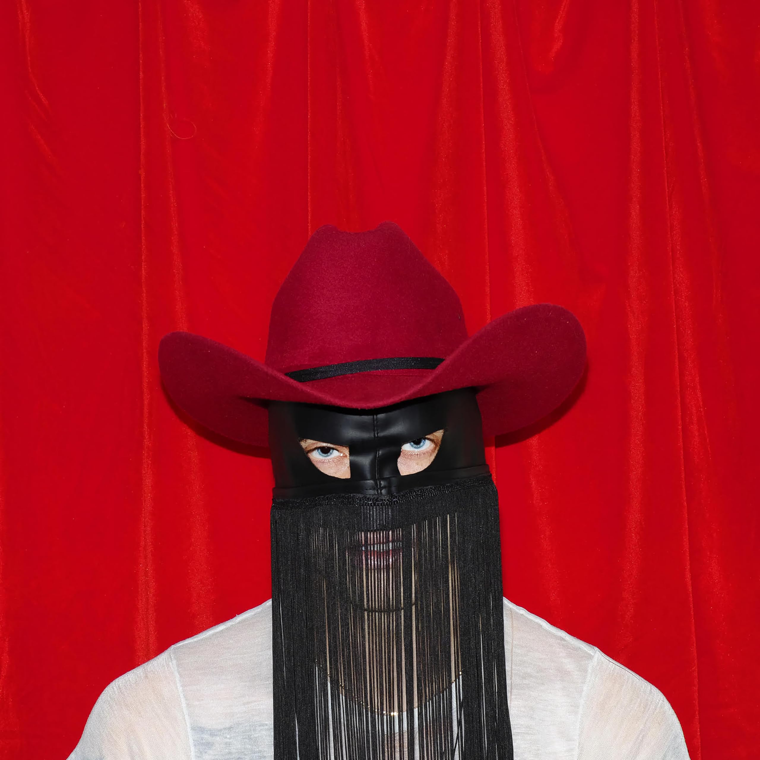 Product Image: Pony
