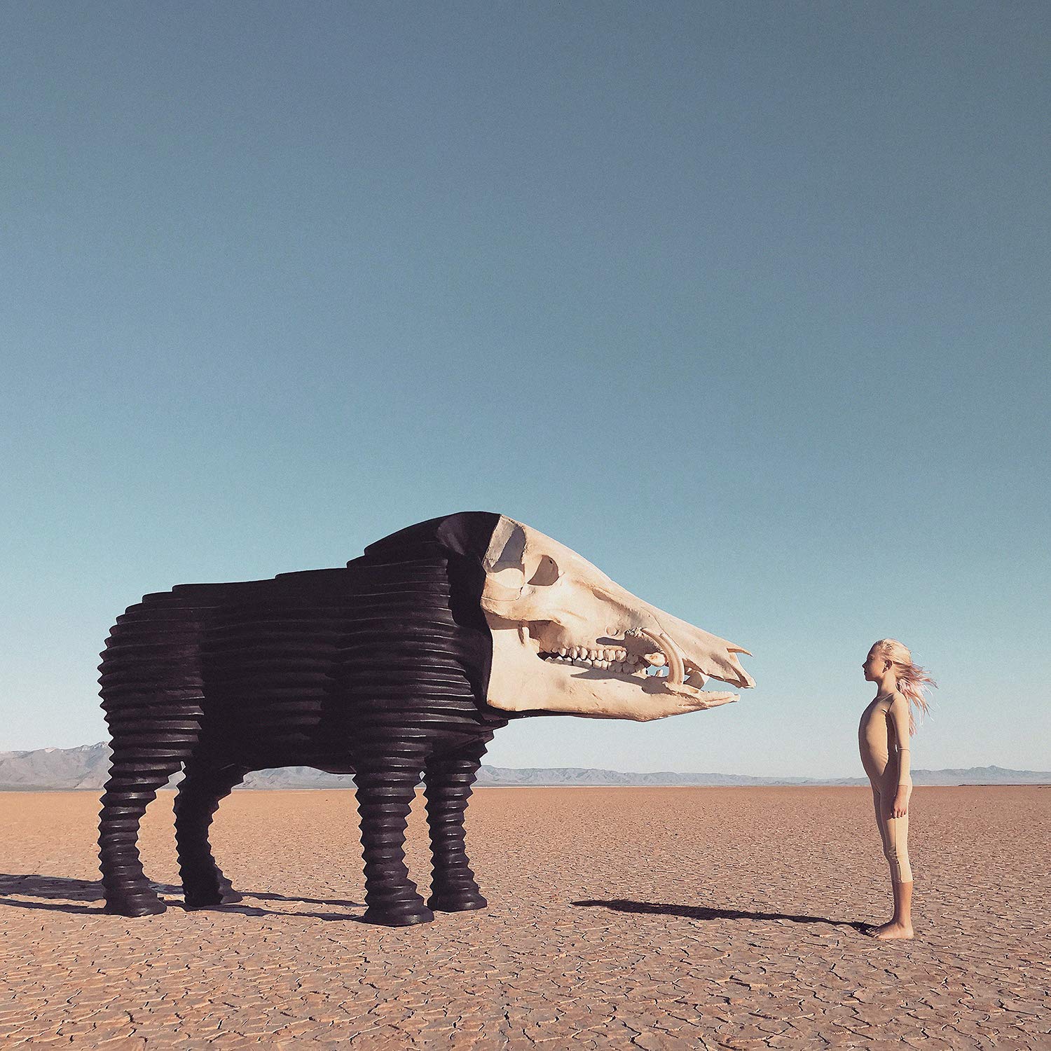 Dream Hunting In The Valley Of The In-Between Alternative & Indie