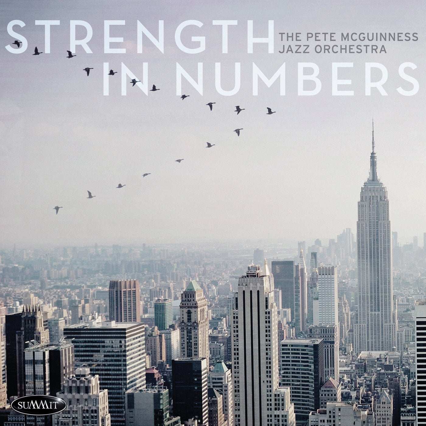 Pete McGuinness Jazz Orch - Strength In Numbers Rock