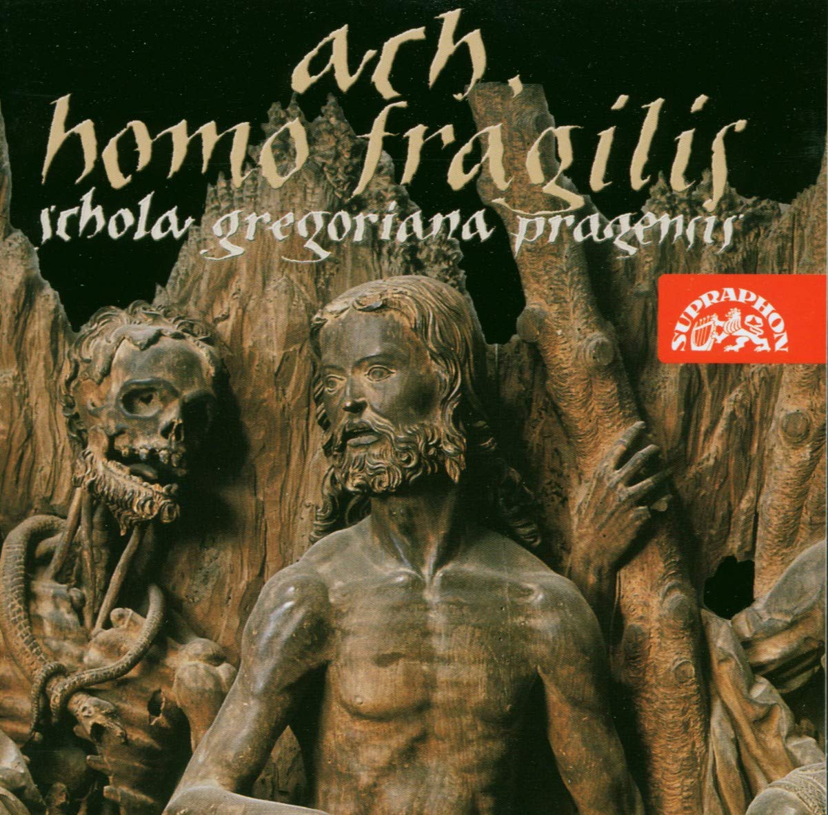 Ach,Homo Fragilis cd