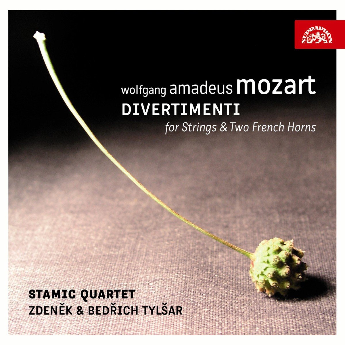 Divertimenti für Streichquartett und Zwei Hörner Classical