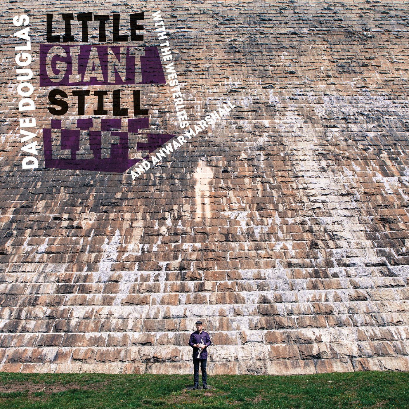 Little Giant Still Life cd