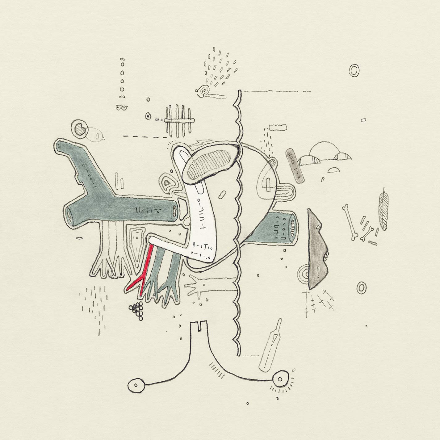 Tiny Changes: A Celebration of Frightened Rabbit's 'The Midnight Organ Fight' Rock