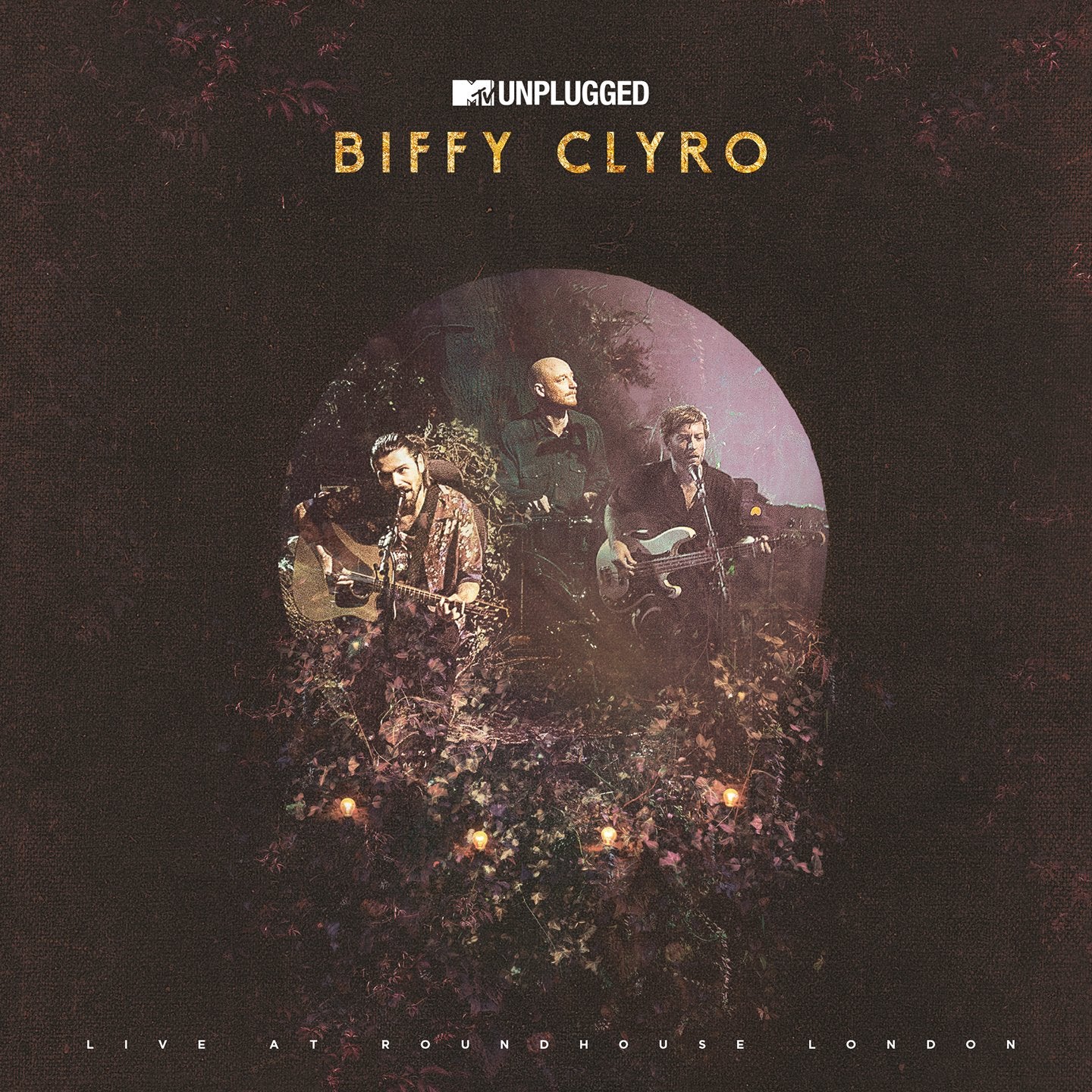 MTV Unplugged (Live At Roundhouse, London) (DeLuxe) Rock