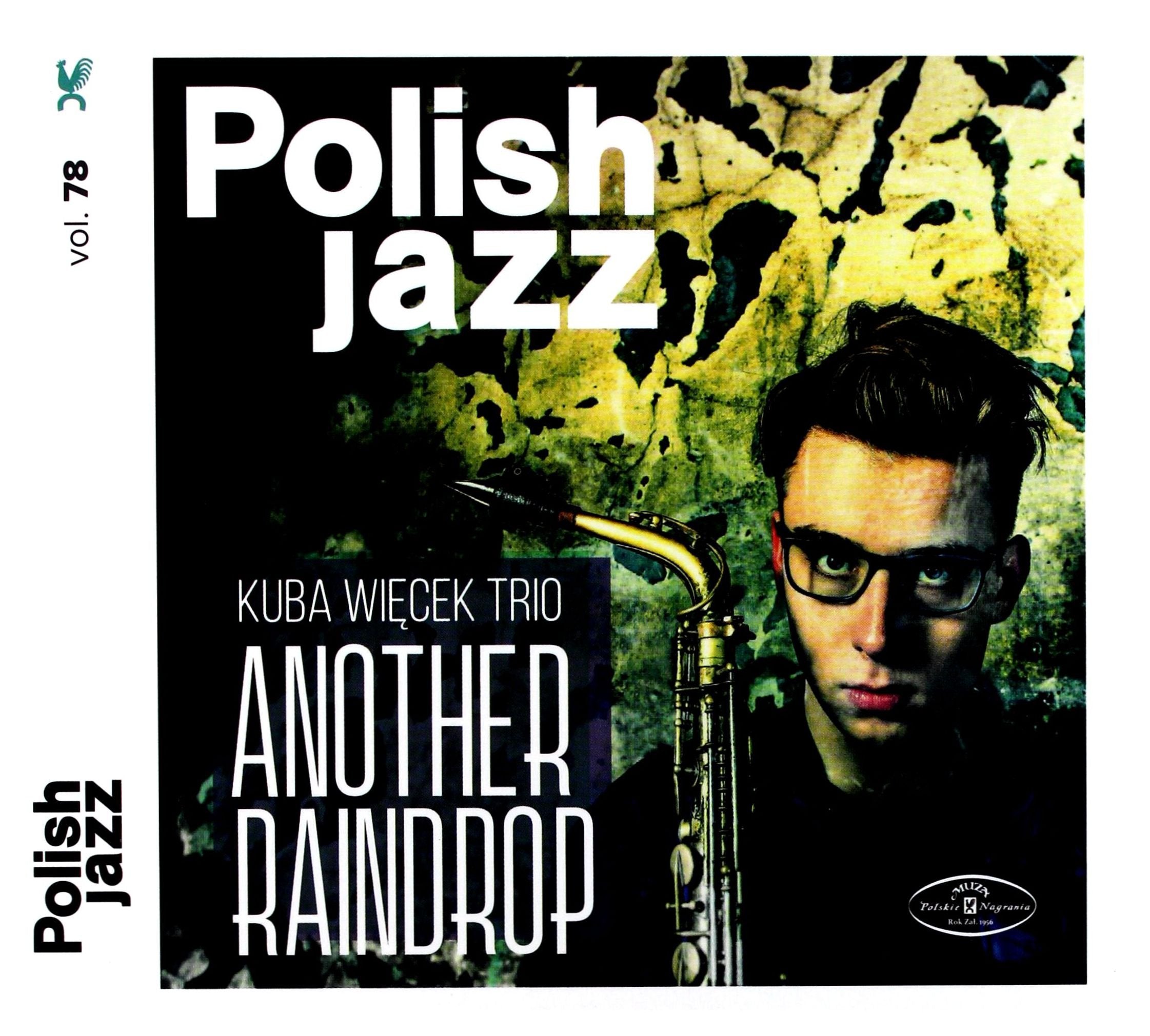 Kuba Wiecek Trio - Another Raindrop Music