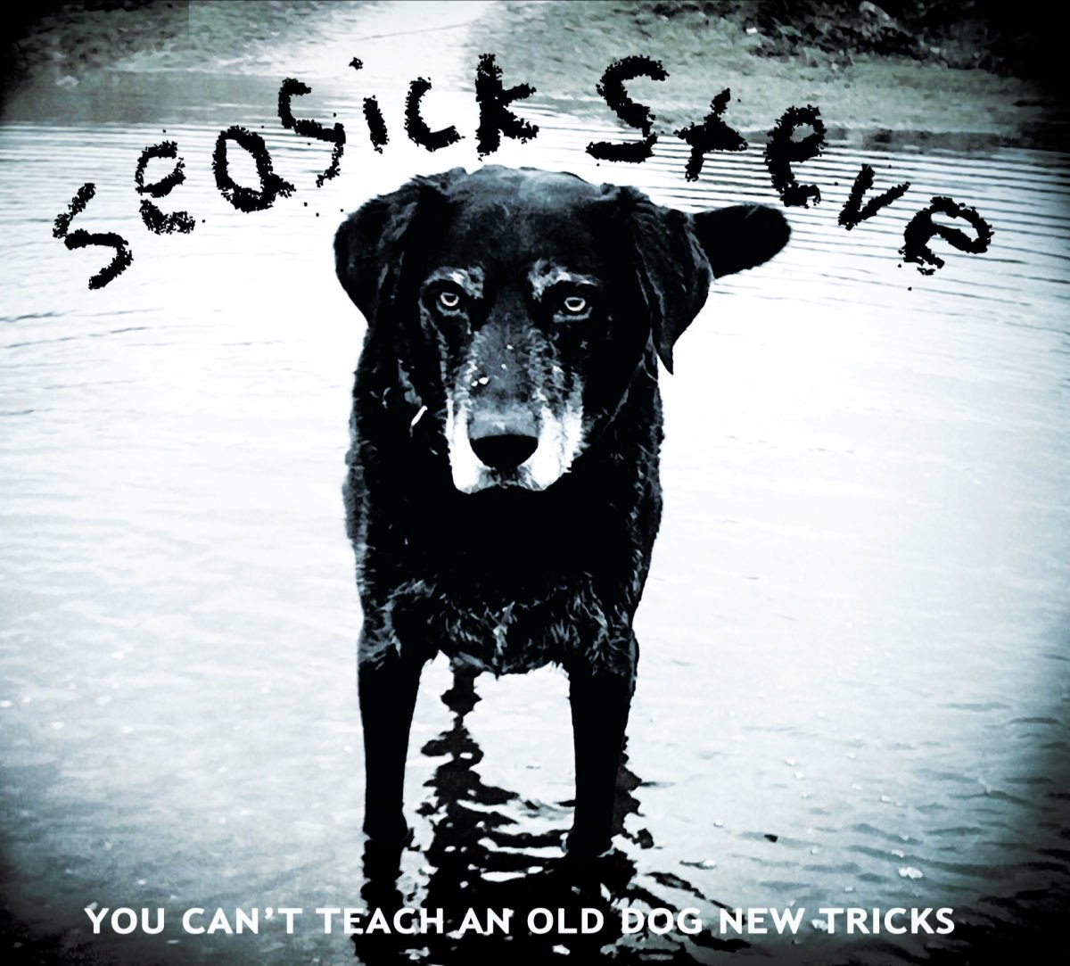 You Can't Teach An Old Dog New Tricks Blues