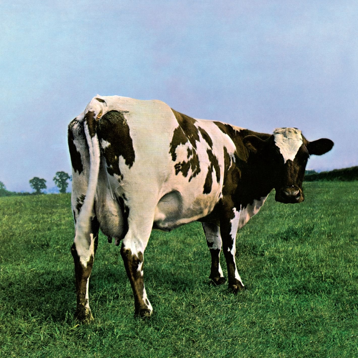 Atom Heart Mother (2016 Edition) Rock