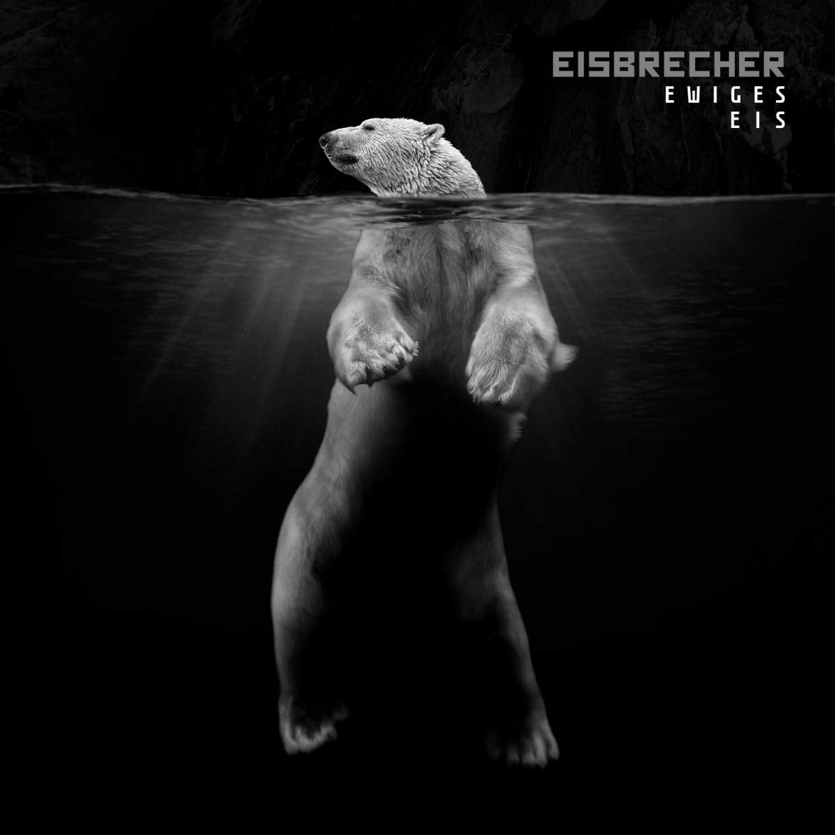 Ewiges Eis-15 Jahre Eisbrecher-Hardcoverbuch Rock