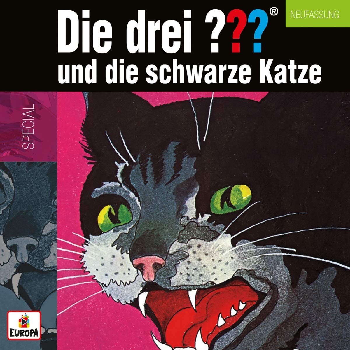 Die drei ??? und die schwarze Katze (Fragezeichen) Children & Young People