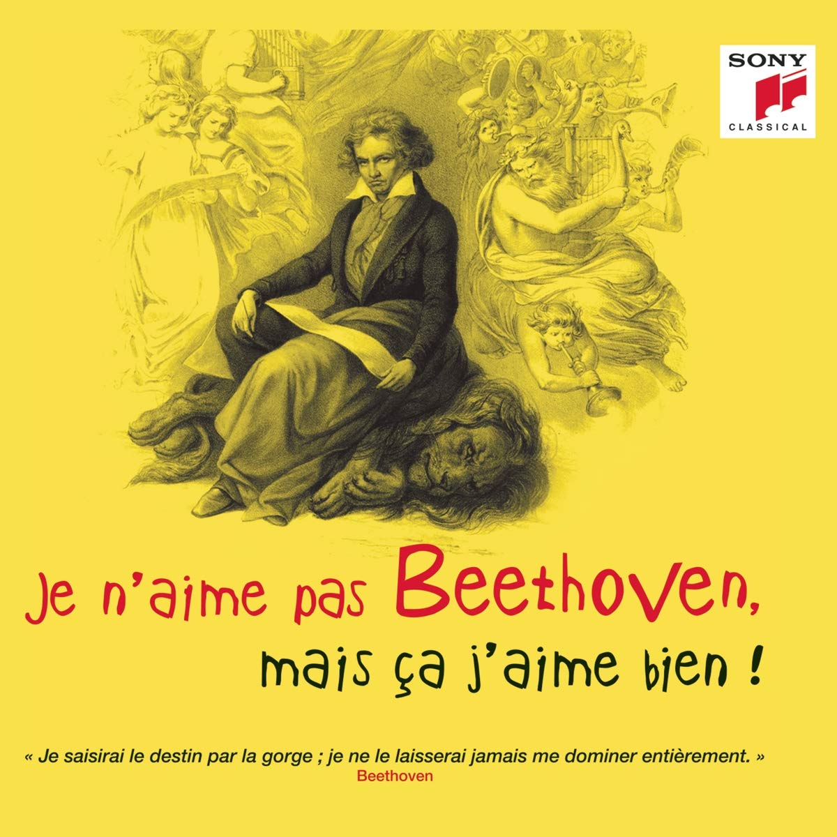 Je n'aime Pas Beethoven, mais Ça J'aime Bien cd