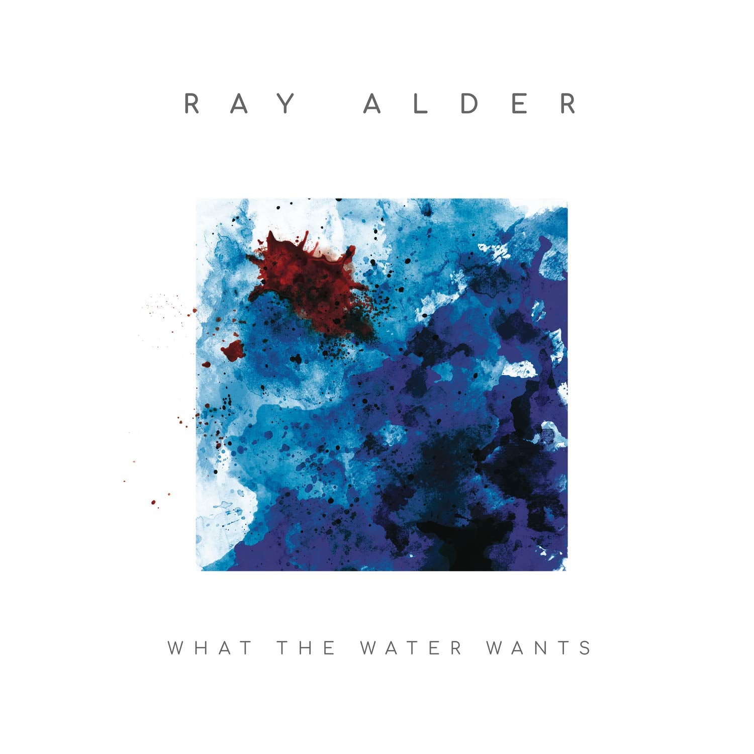 What The Water Wants (Standard CD Jewelcase) Metal & Hardrock