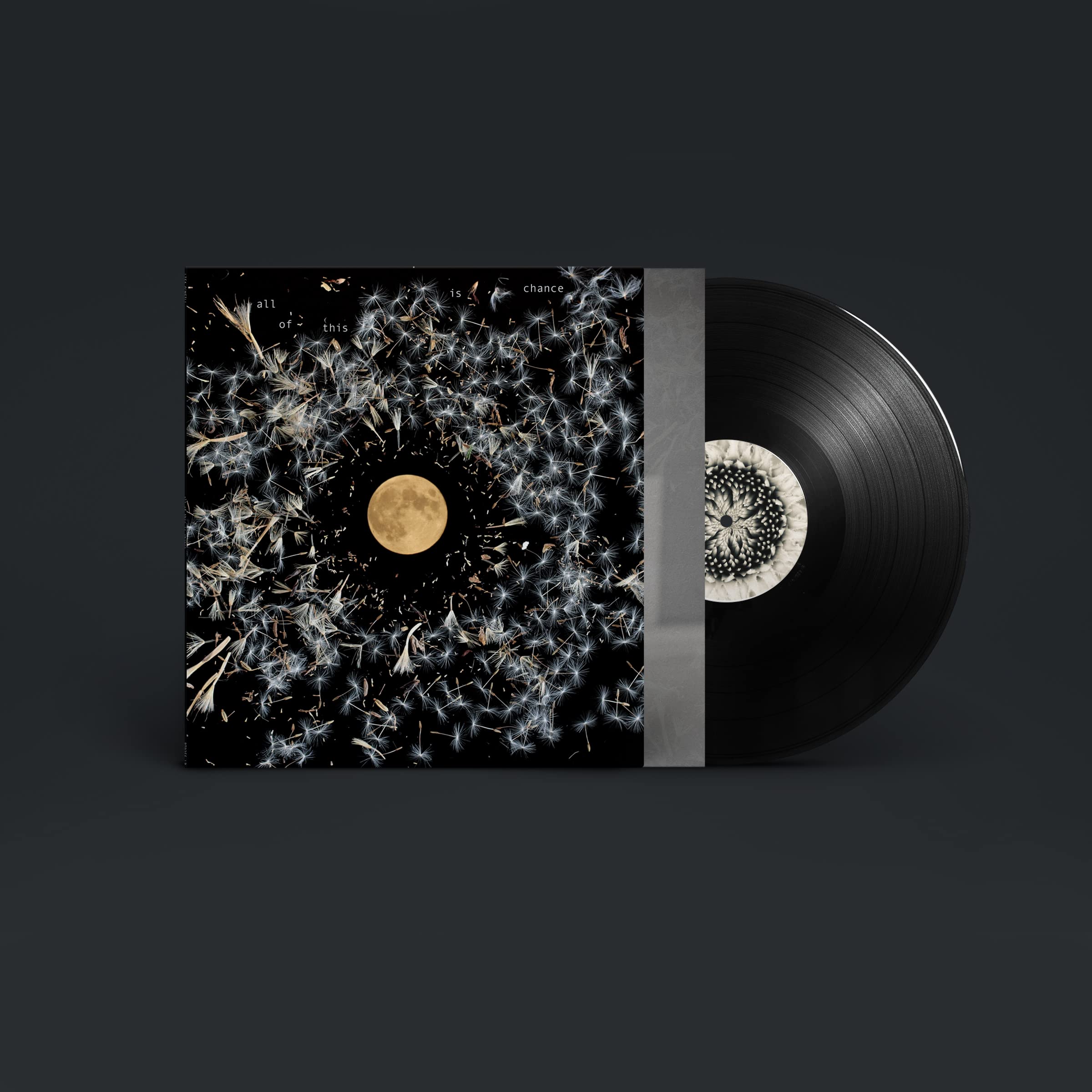 All of This Chance Country & Folk