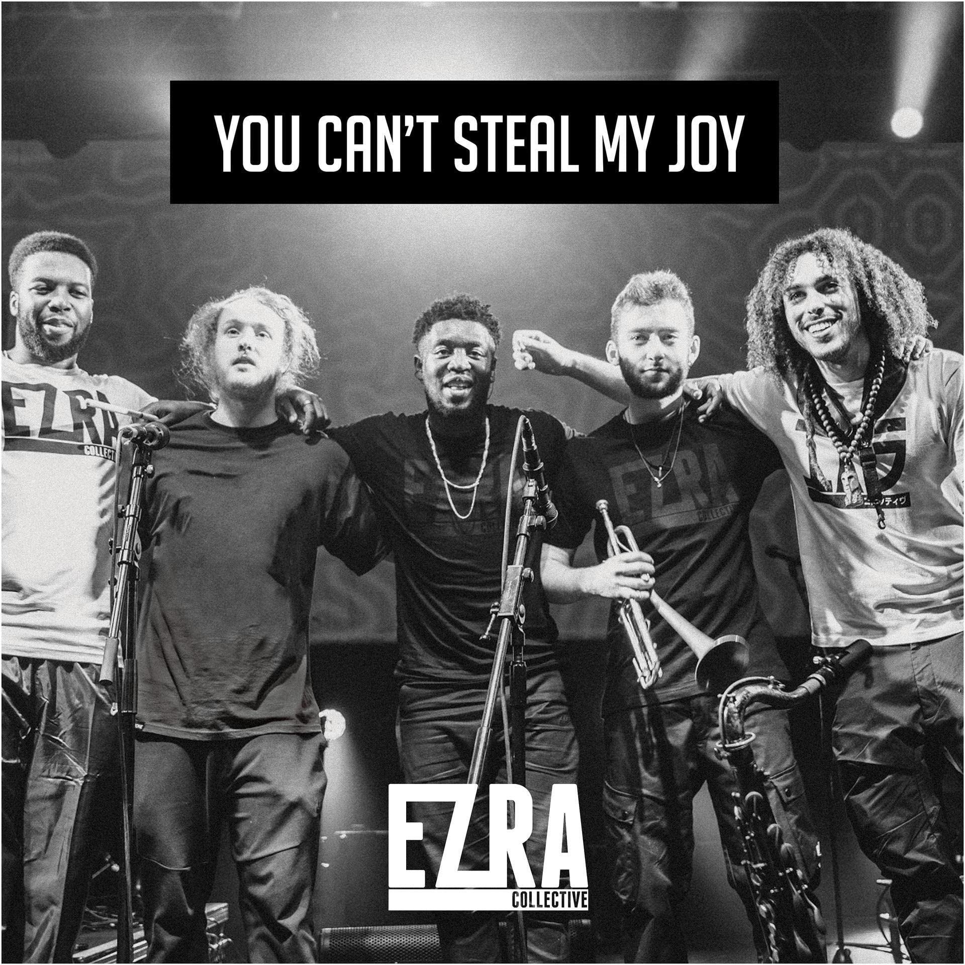 You Can't Steal My Joy Standard LP Jazz