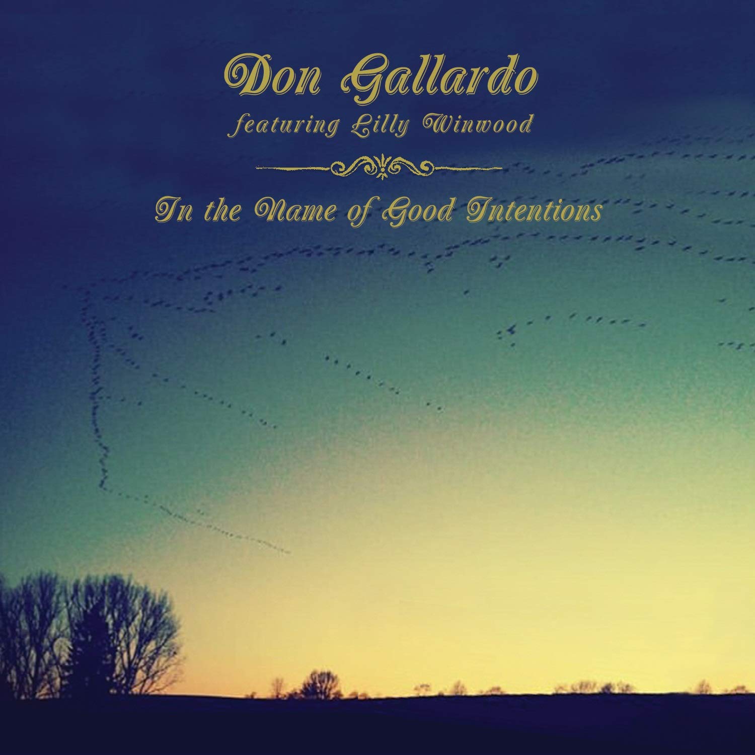 In The Name Of Good Intentions Country & Folk