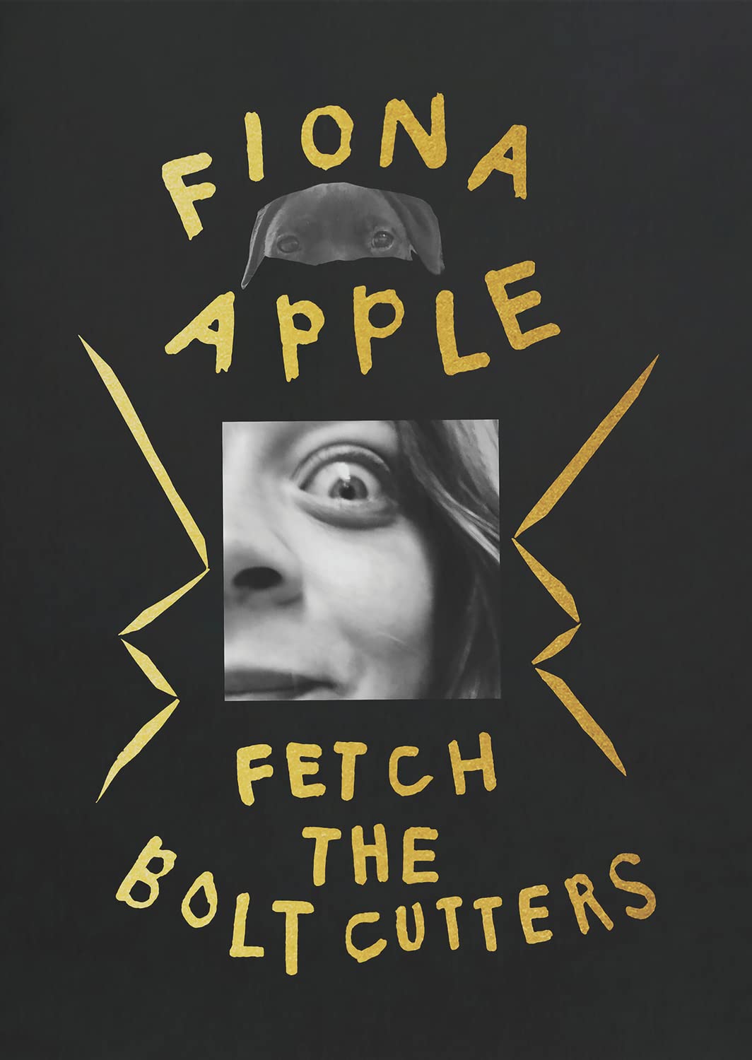 Fiona Apple - Fetch The Bolt Cutters Music for Children