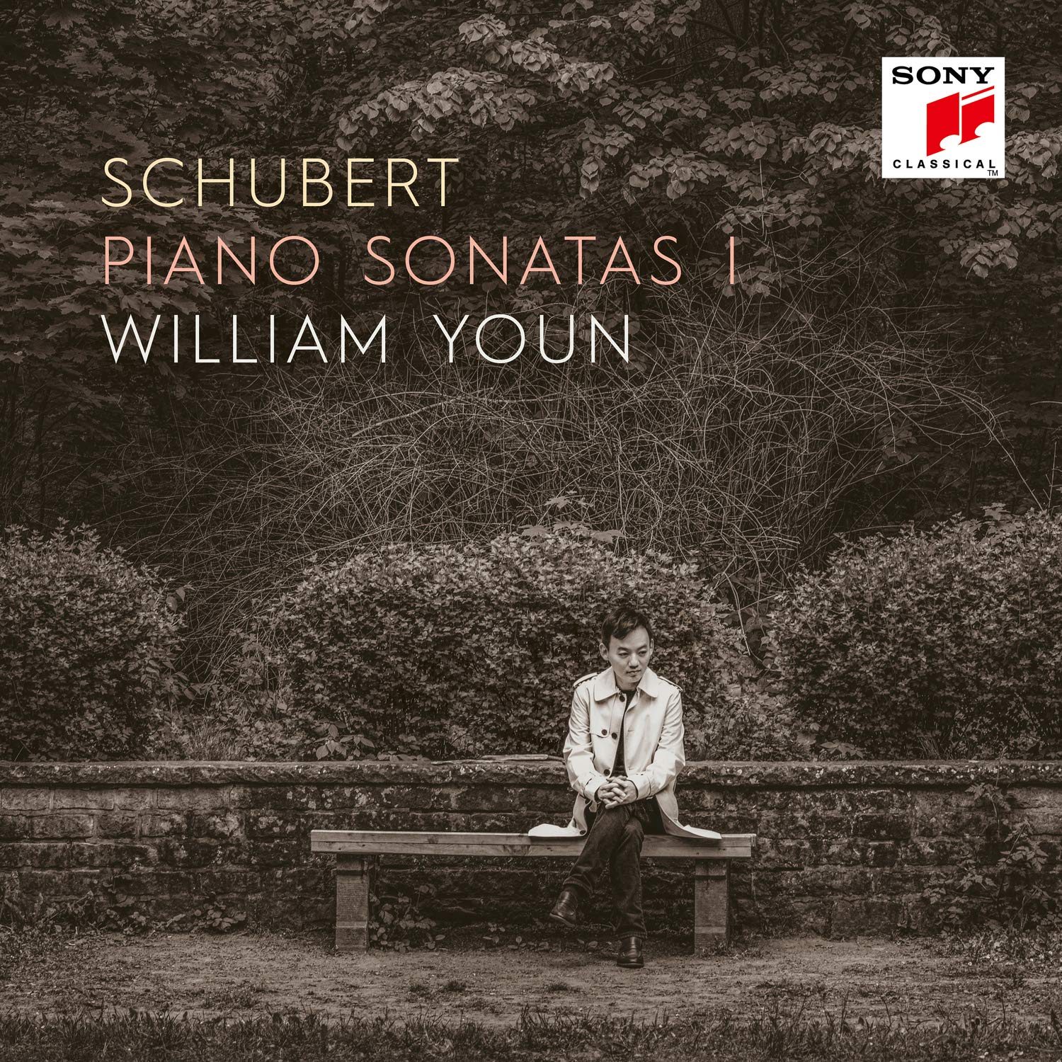 Schubert Klaviersonaten I Classical