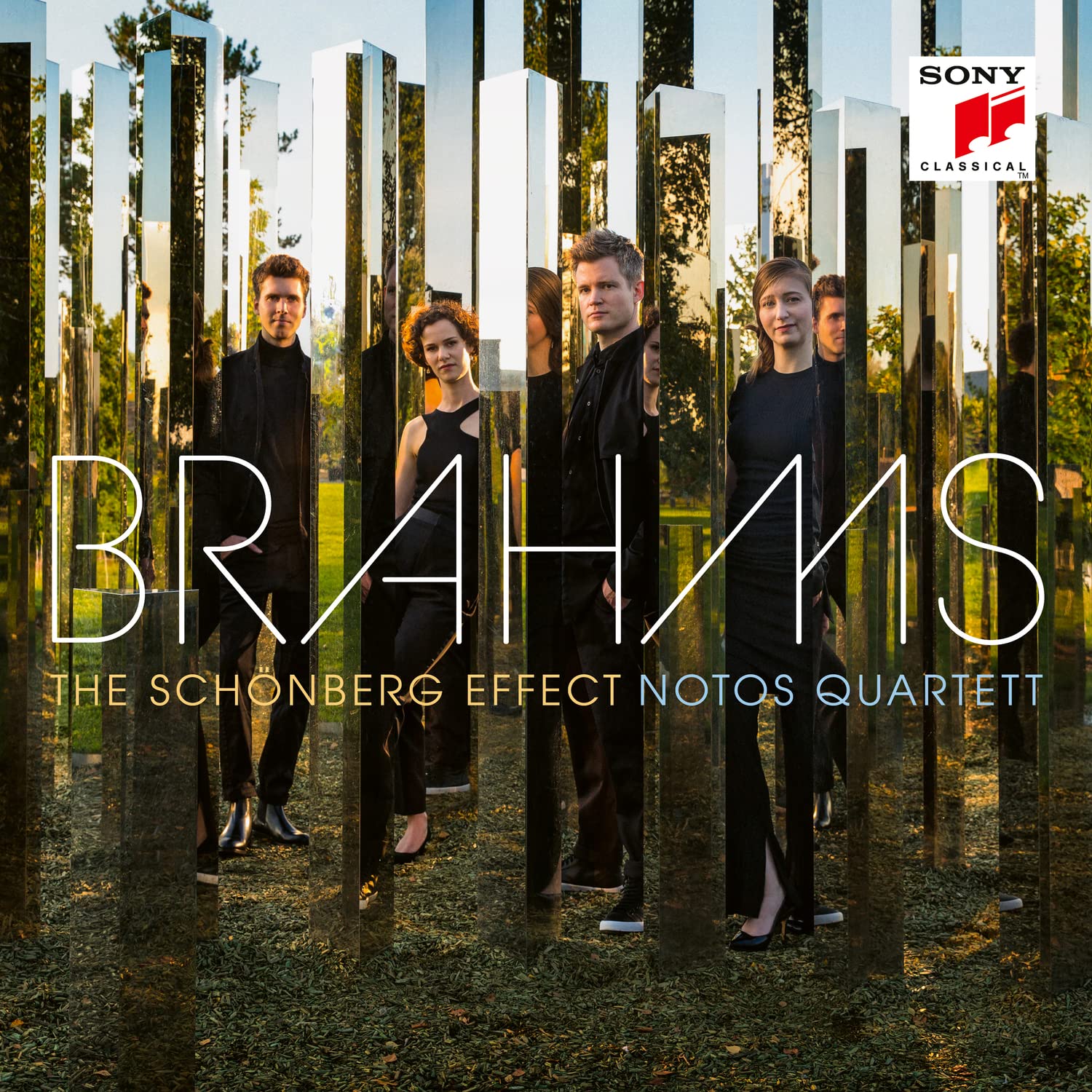 Product Image: The Schoenberg Effect