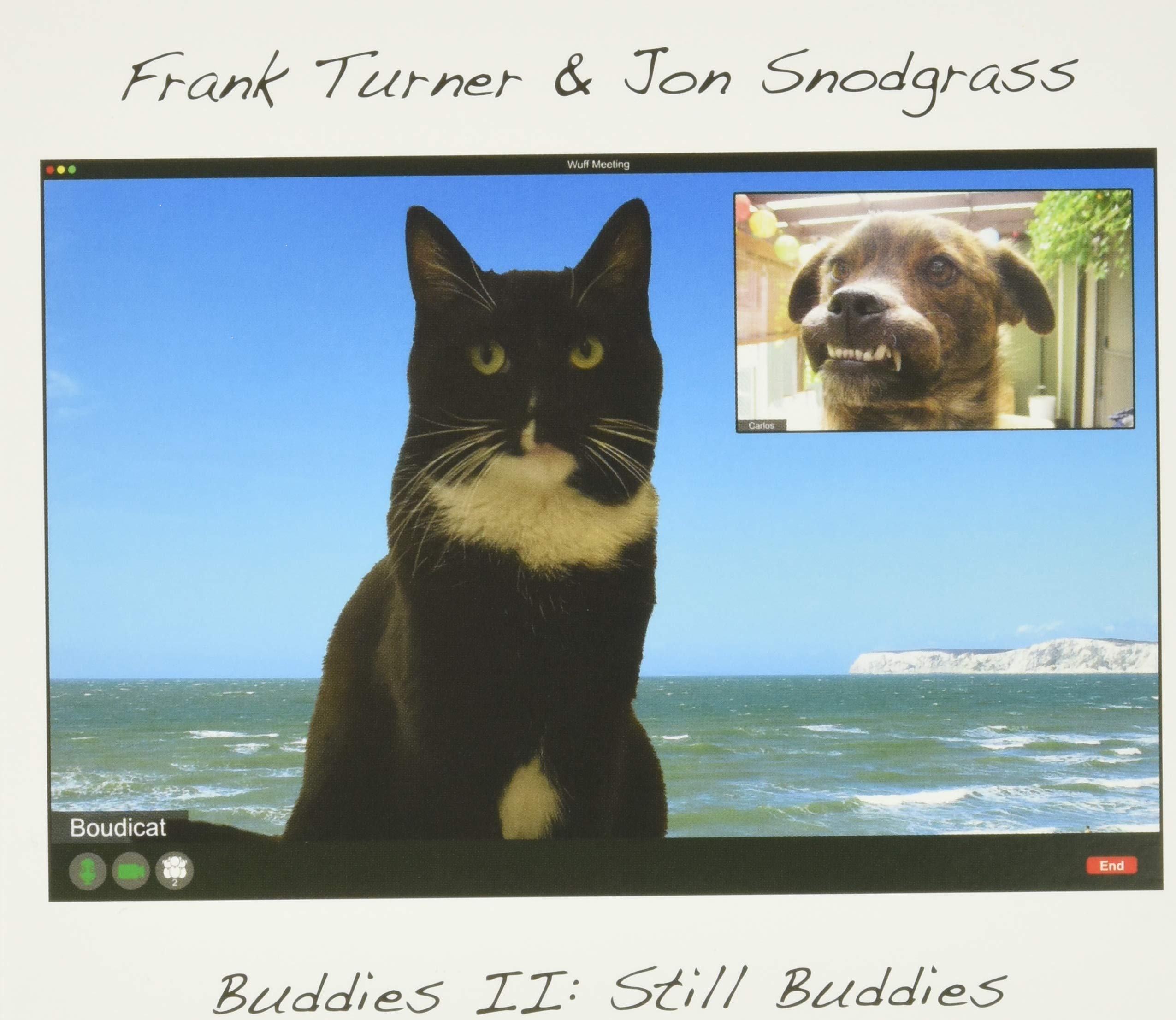 Product Image: Buddies II: Still Buddies