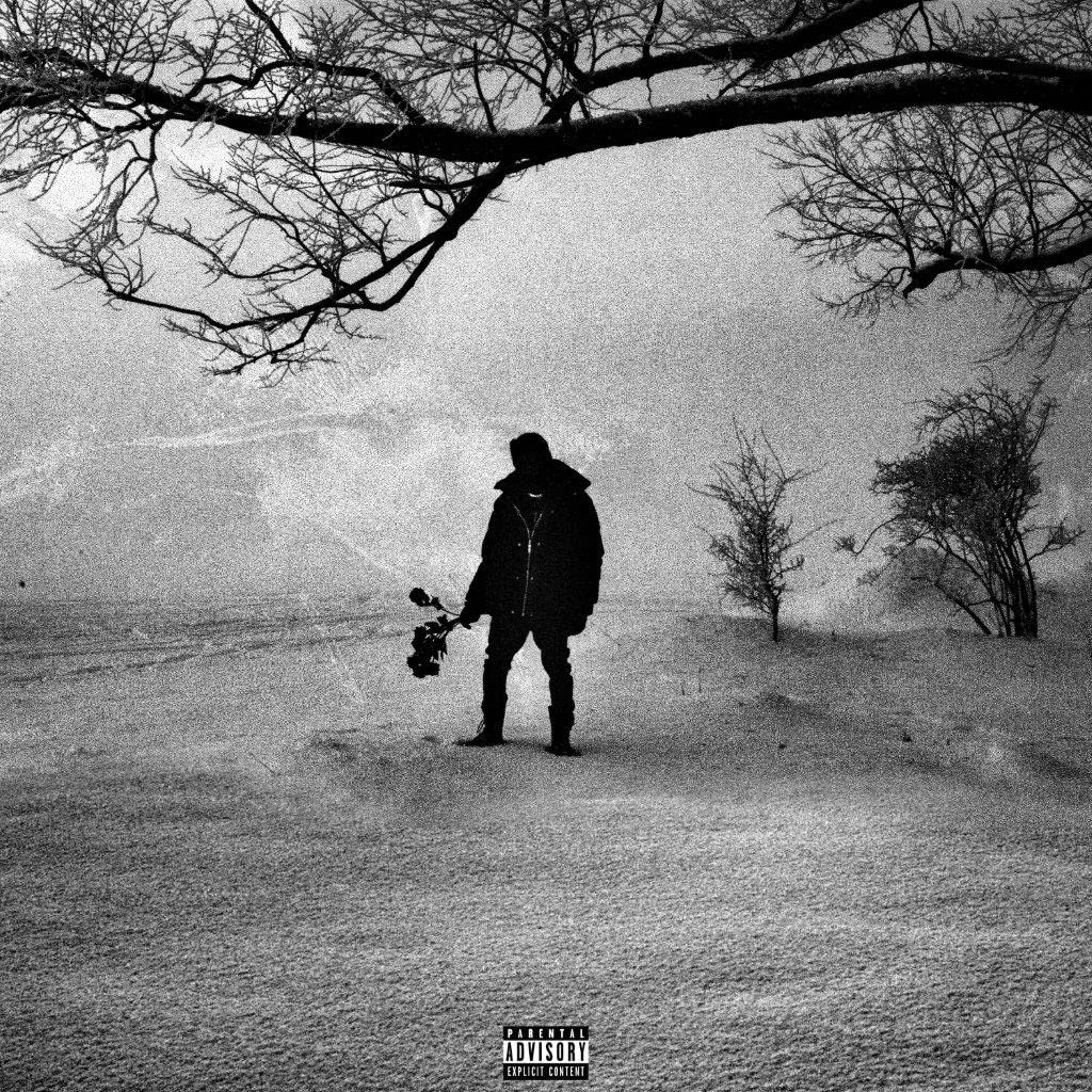 M.a.N (Black Roses & Lost Feelings) cd