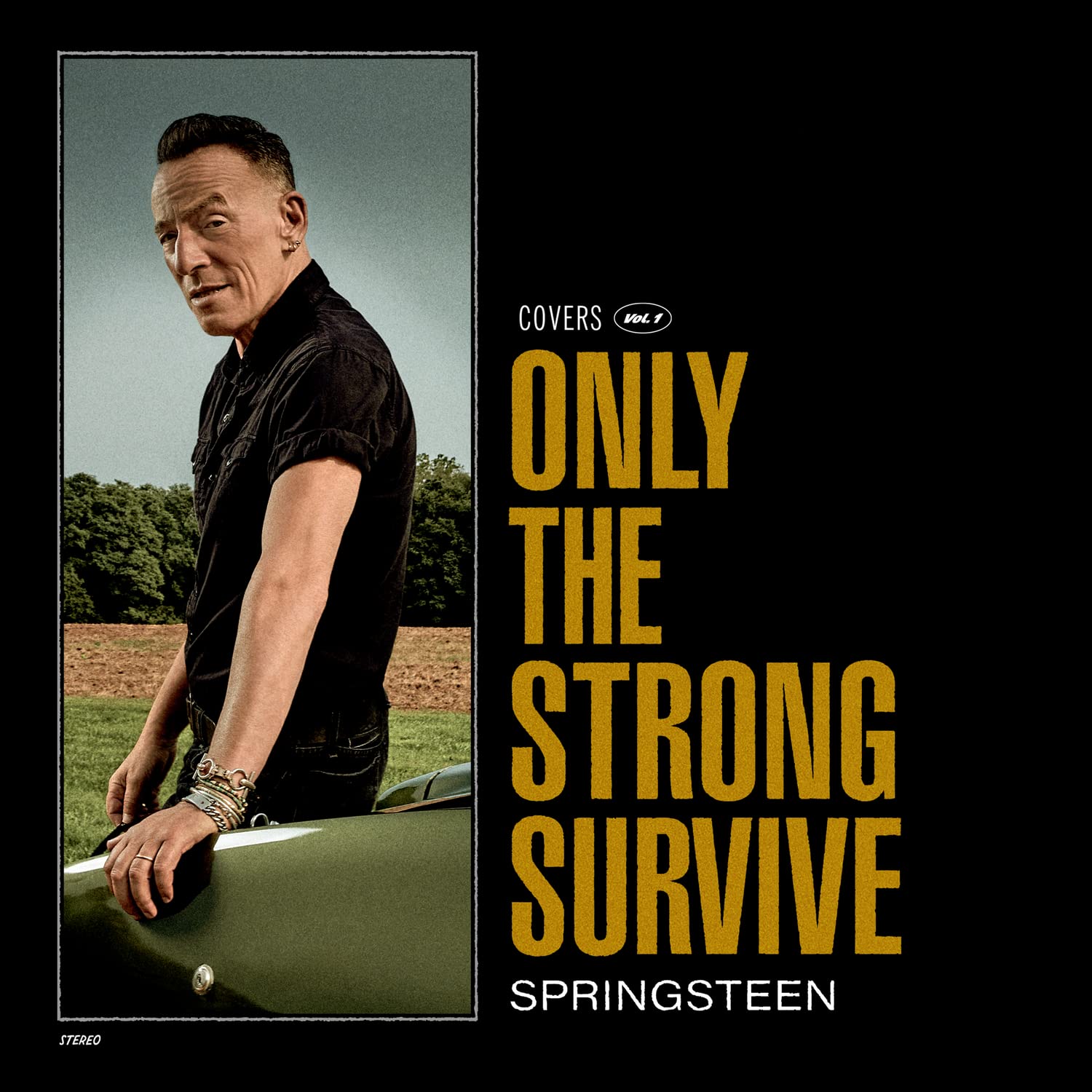 Only The Strong Survive CD Rock