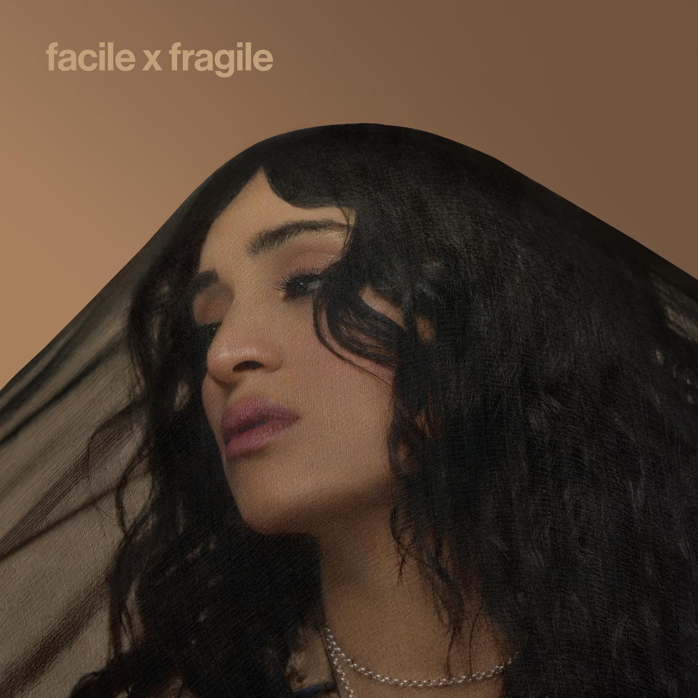 Sony Music Entertainment France Facile x Fragile + Chanson française