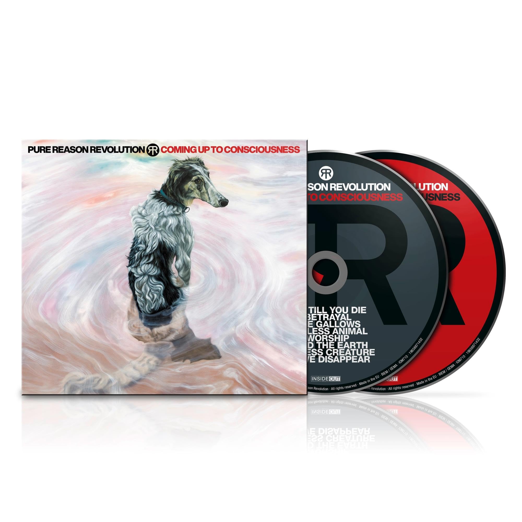 Product Image: Coming Up to Consciousness