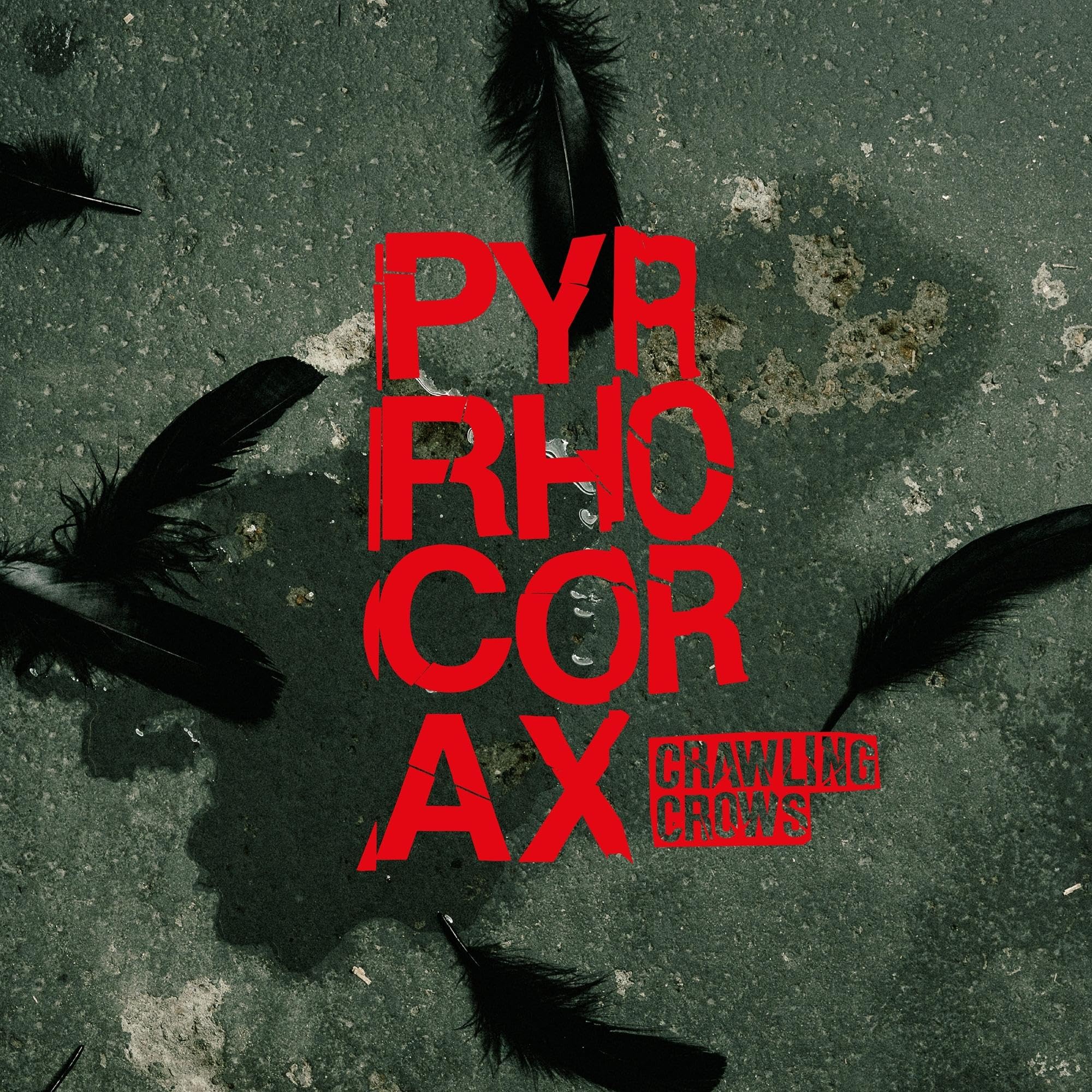 Pyrrhocorax Alternative & Indie