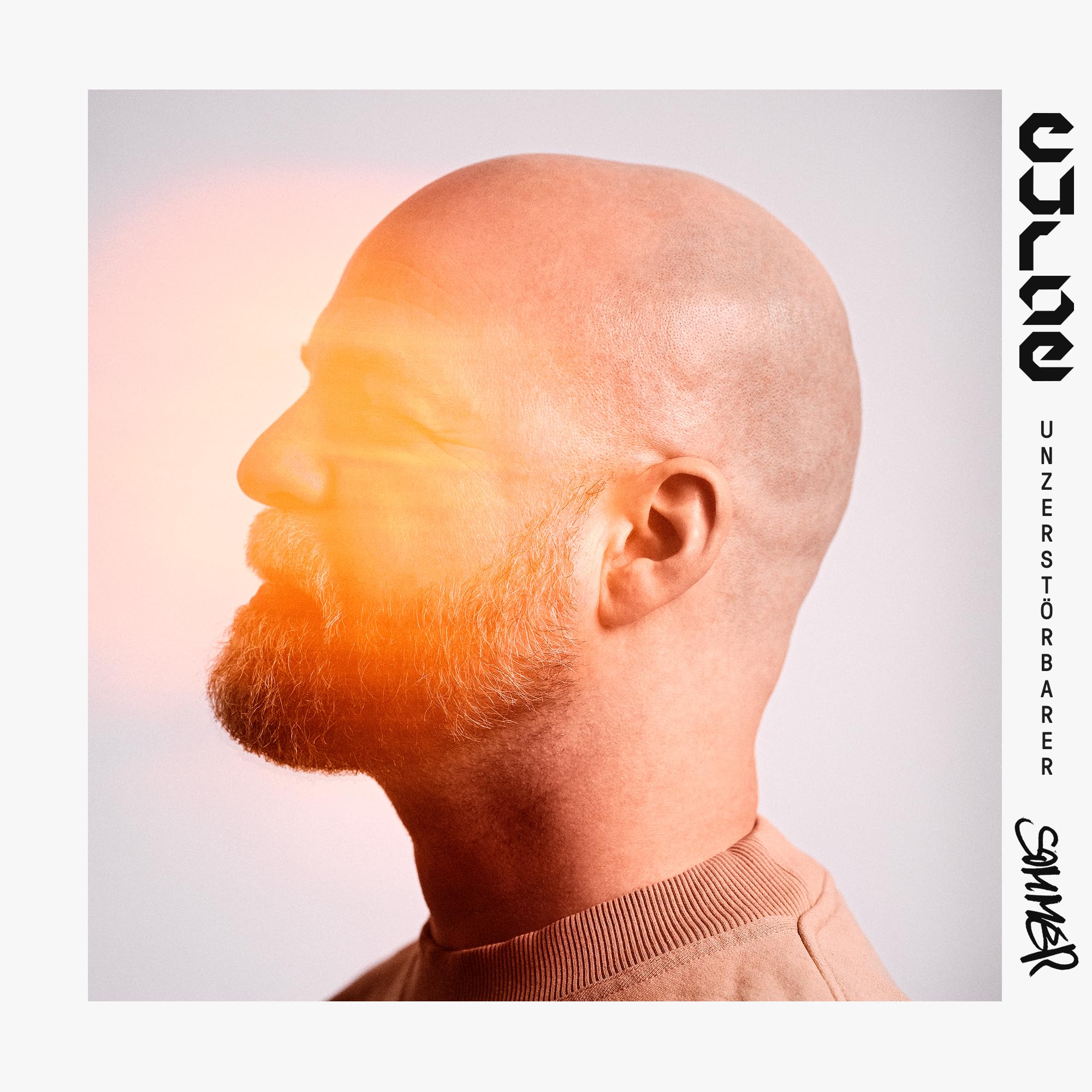 Product Image: Unzerstörbarer Sommer