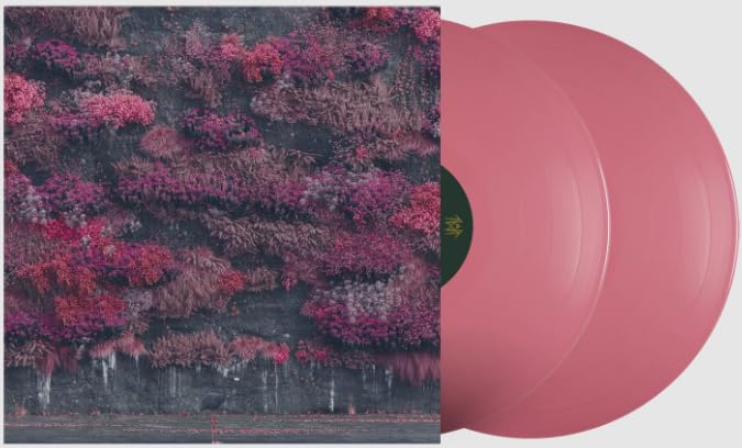 Even In Arcadia Exclusivité Fnac Vinyle Rose et Noir Néon Marbré Music