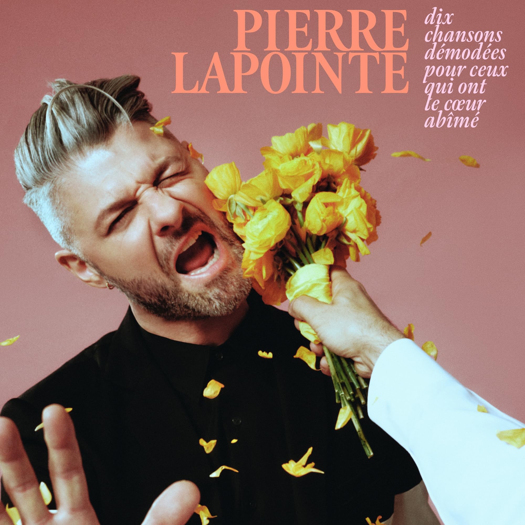 Dix chansons démodées pour ceux qui ont le coeur abîmé Pop