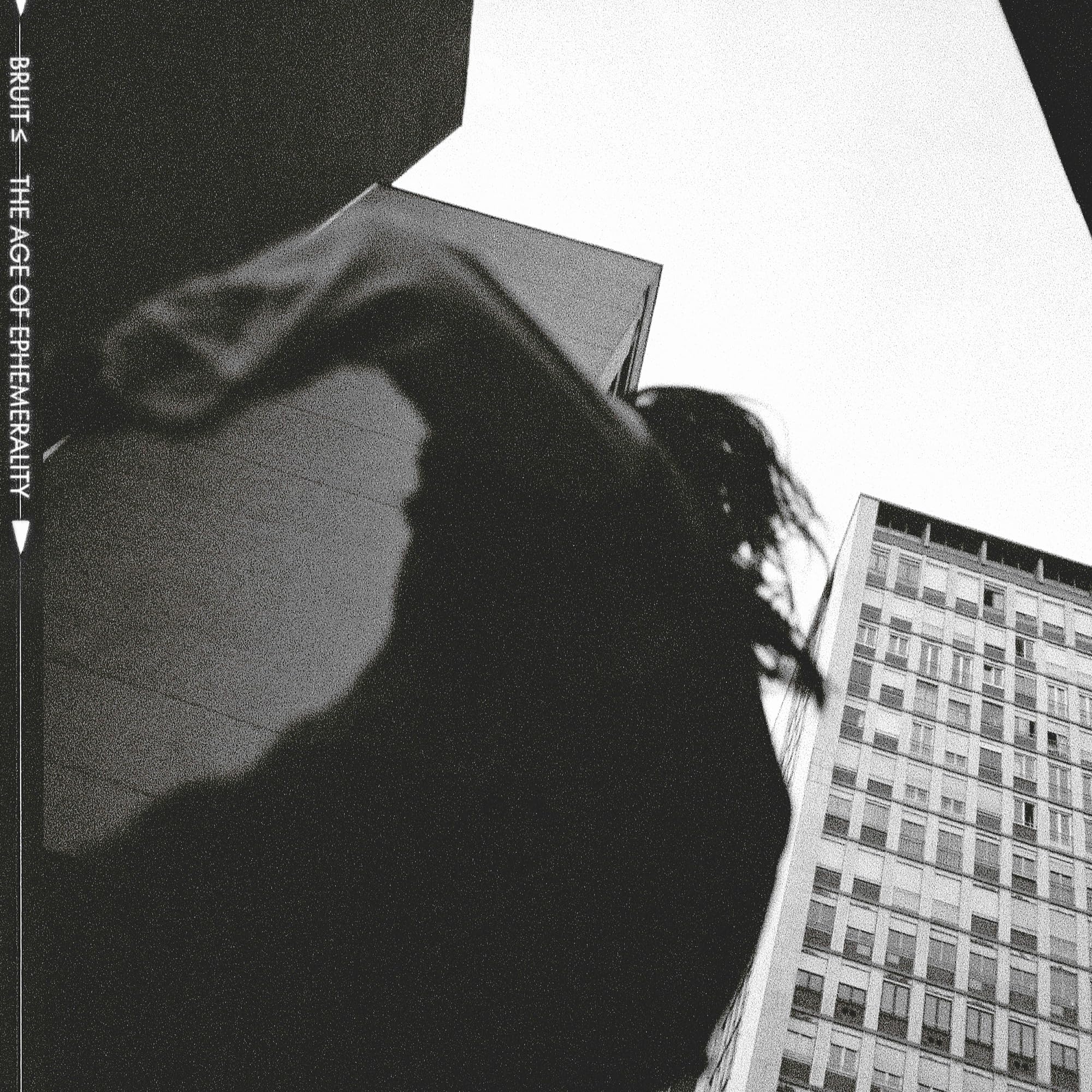 The Age of Ephemerality (Black Vinyl) Rock
