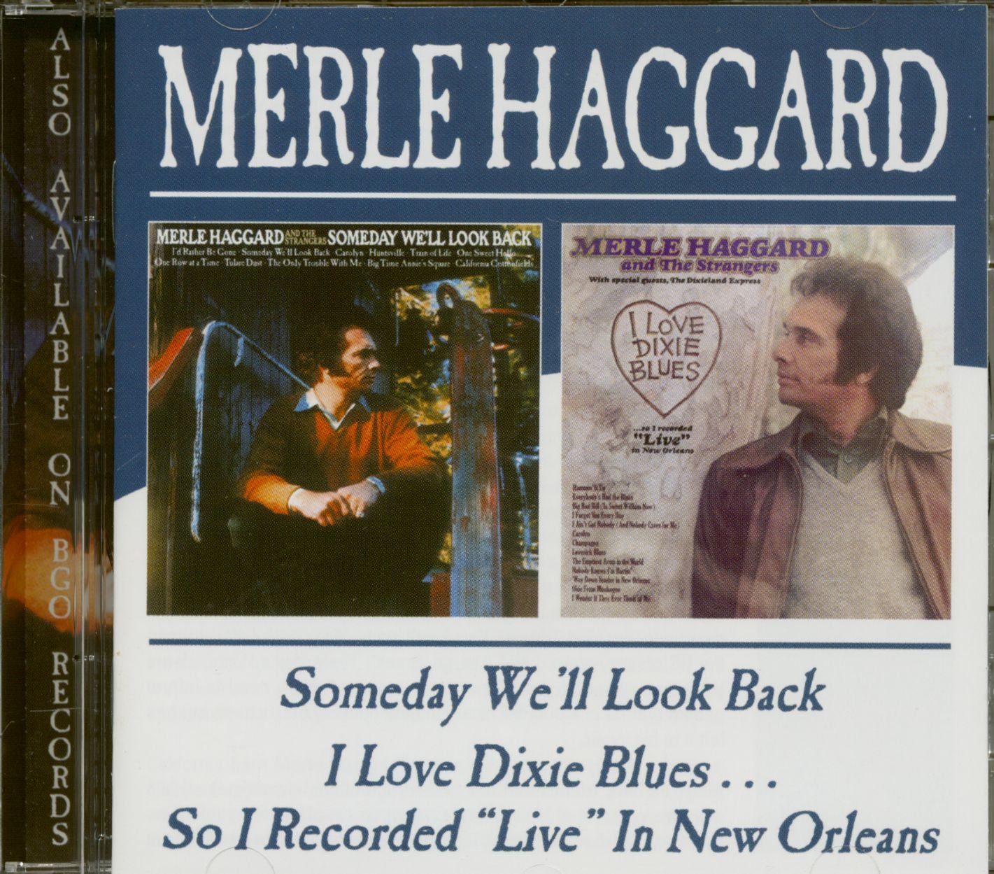 Someday We'll Look Back / I Love Dixie Blues Pop