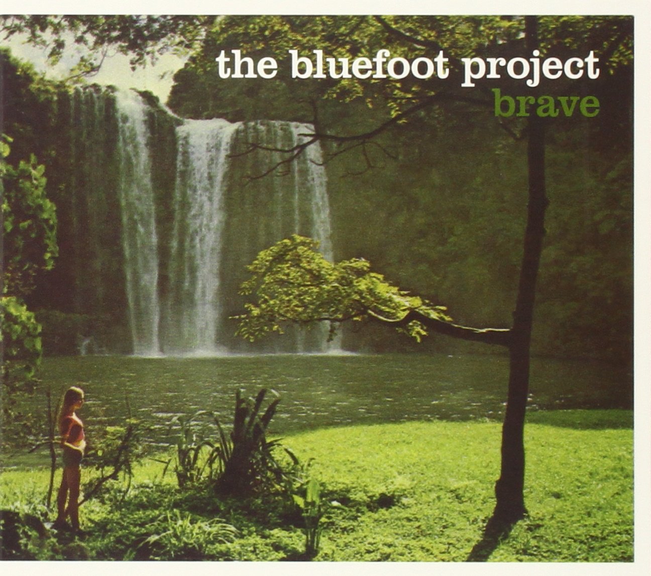 Brave Dance & Electronic