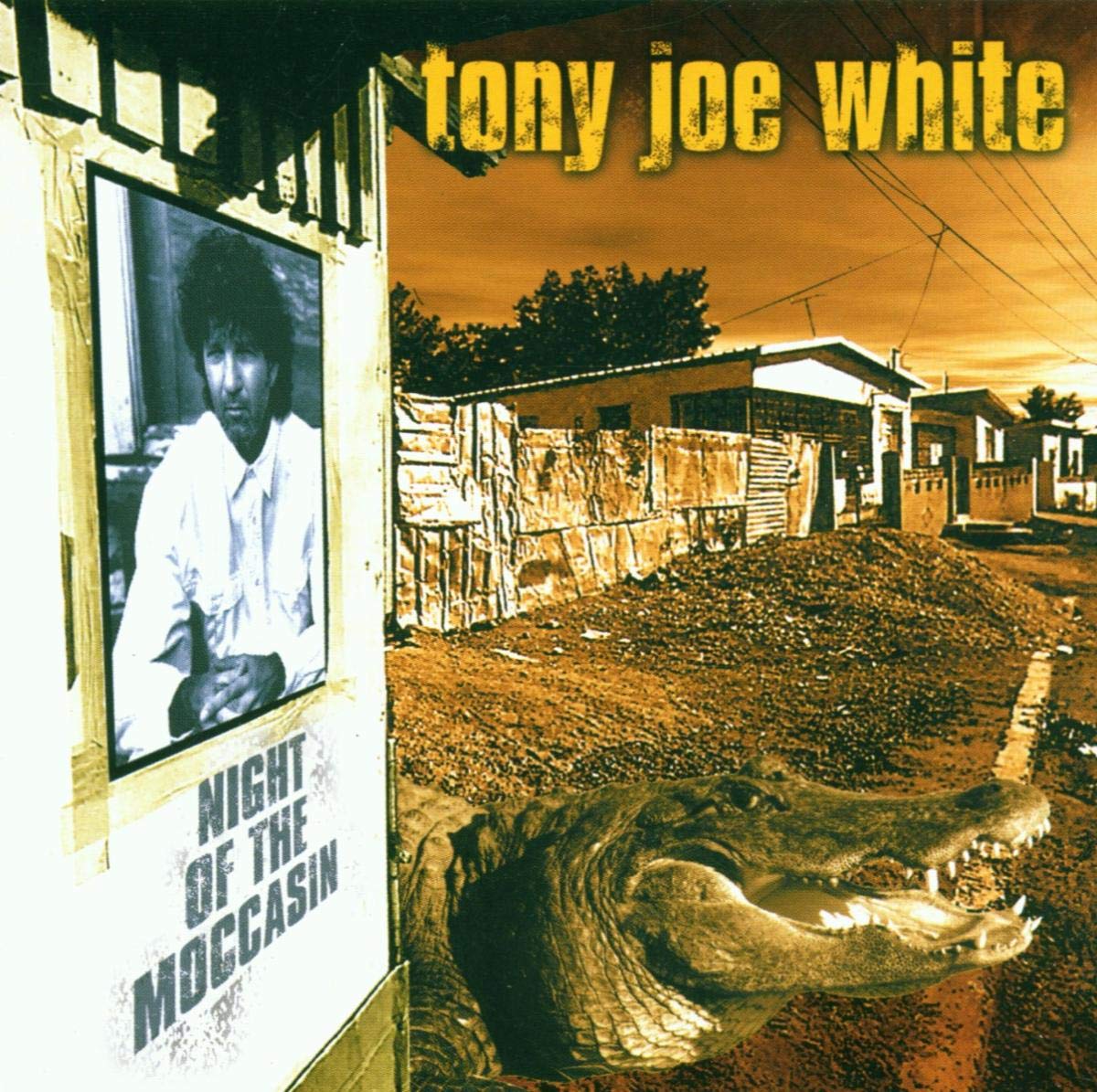 Night of the Moccasin Blues