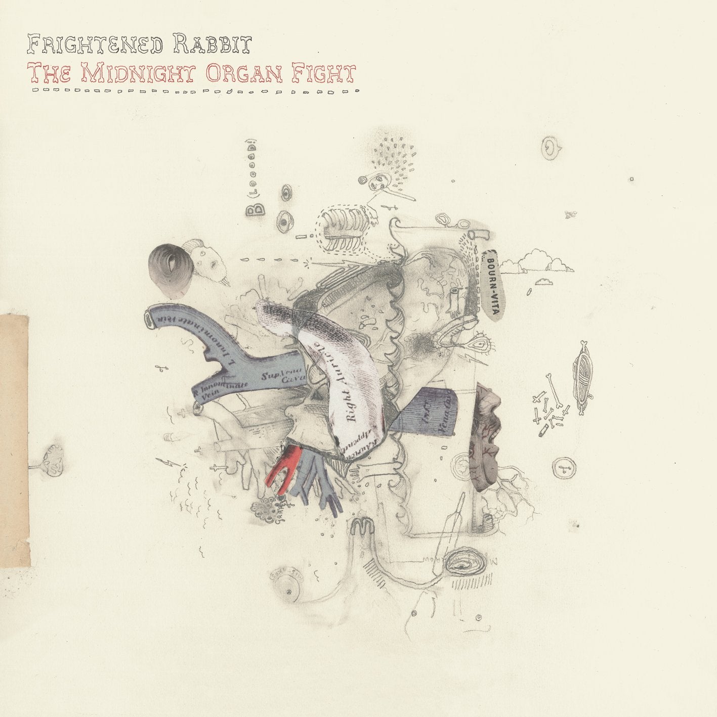 Product Image: The Midnight Organ Fight