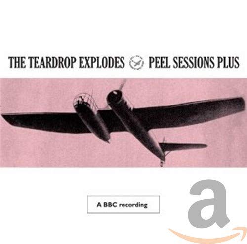 Peel Sessions Plus Alternative & Indie