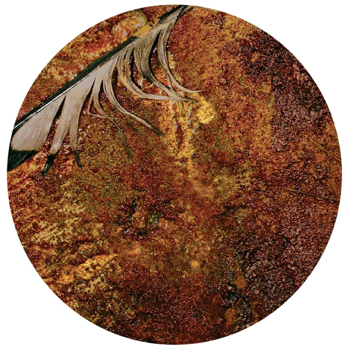 The Downward Spiral (Picture) Alternative & Indie