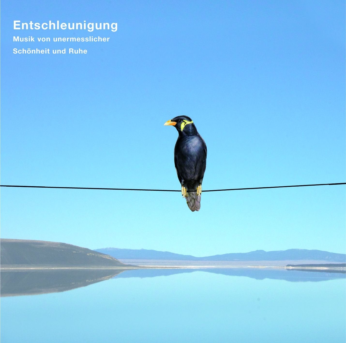 Entschleunigung - Musik von unermesslicher Schönheit und Ruh Music