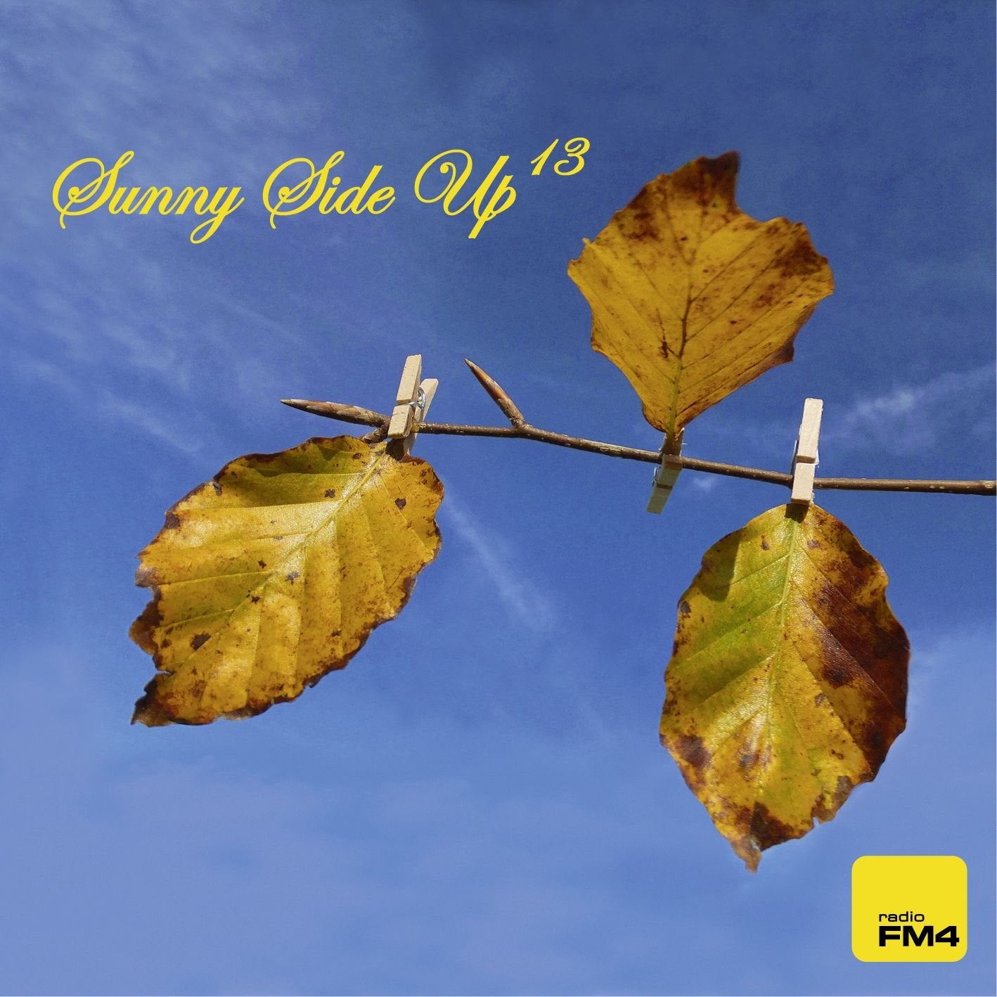 Sunny Side Up Vol.13 Pop