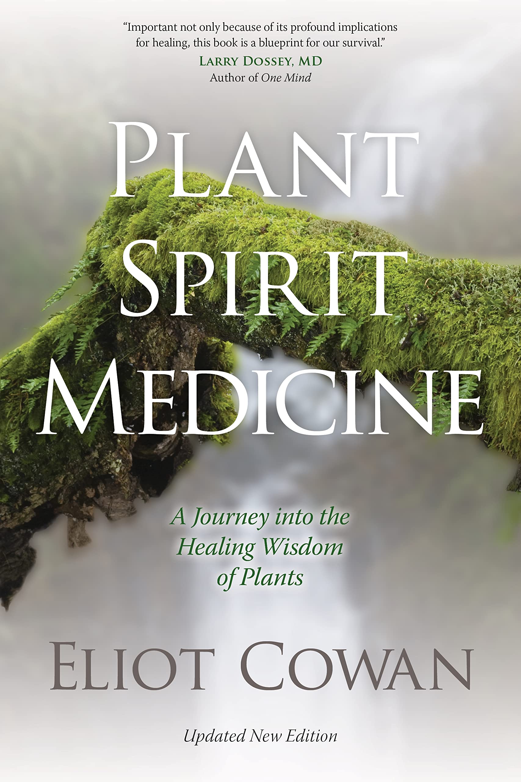 Plant Spirit Medicine: A Journey Into the Healing Wisdom of Plants Mathematics
