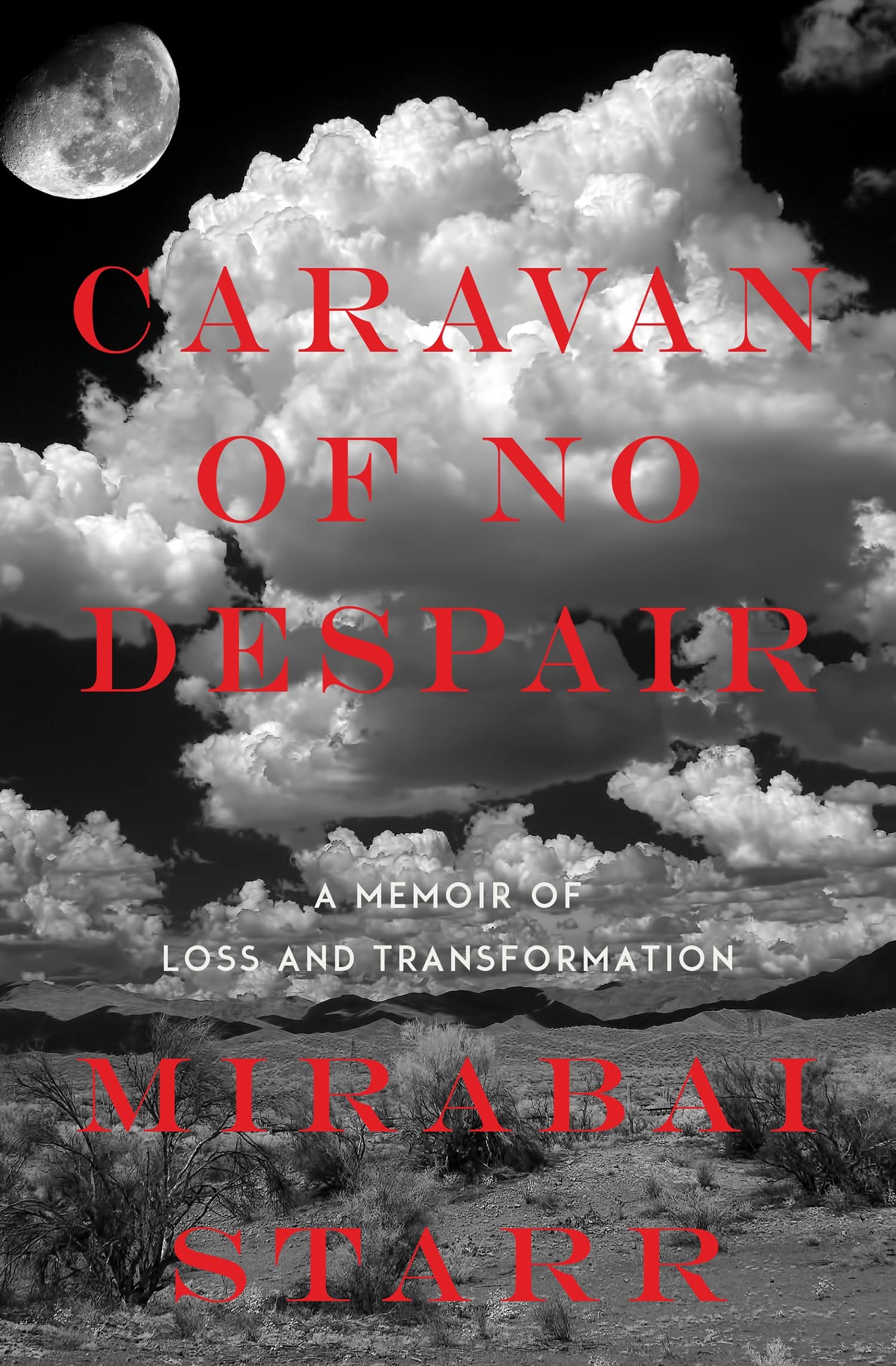 Caravan of No Despair: A Memoir of Loss and Transformation Art & Literature
