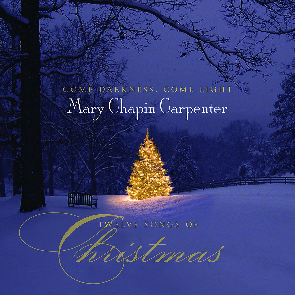 Come Darkness,Come Light: 12 Songs of Christmas Other music genres