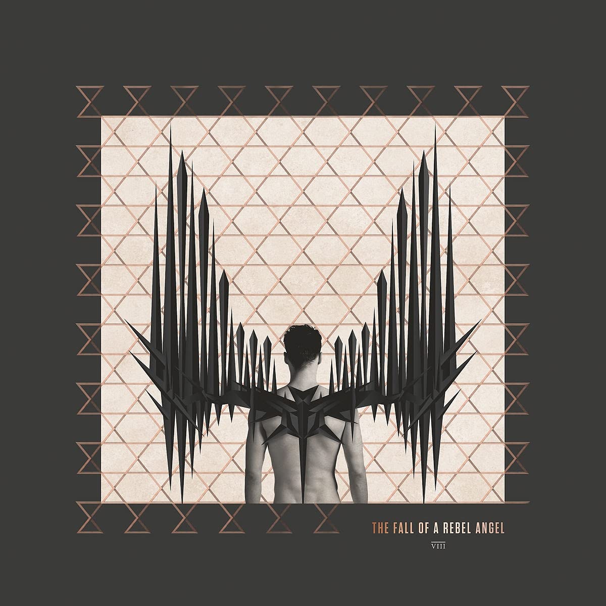 The Fall of a Rebel Angel (180g Vinyl) Dance & Electronic