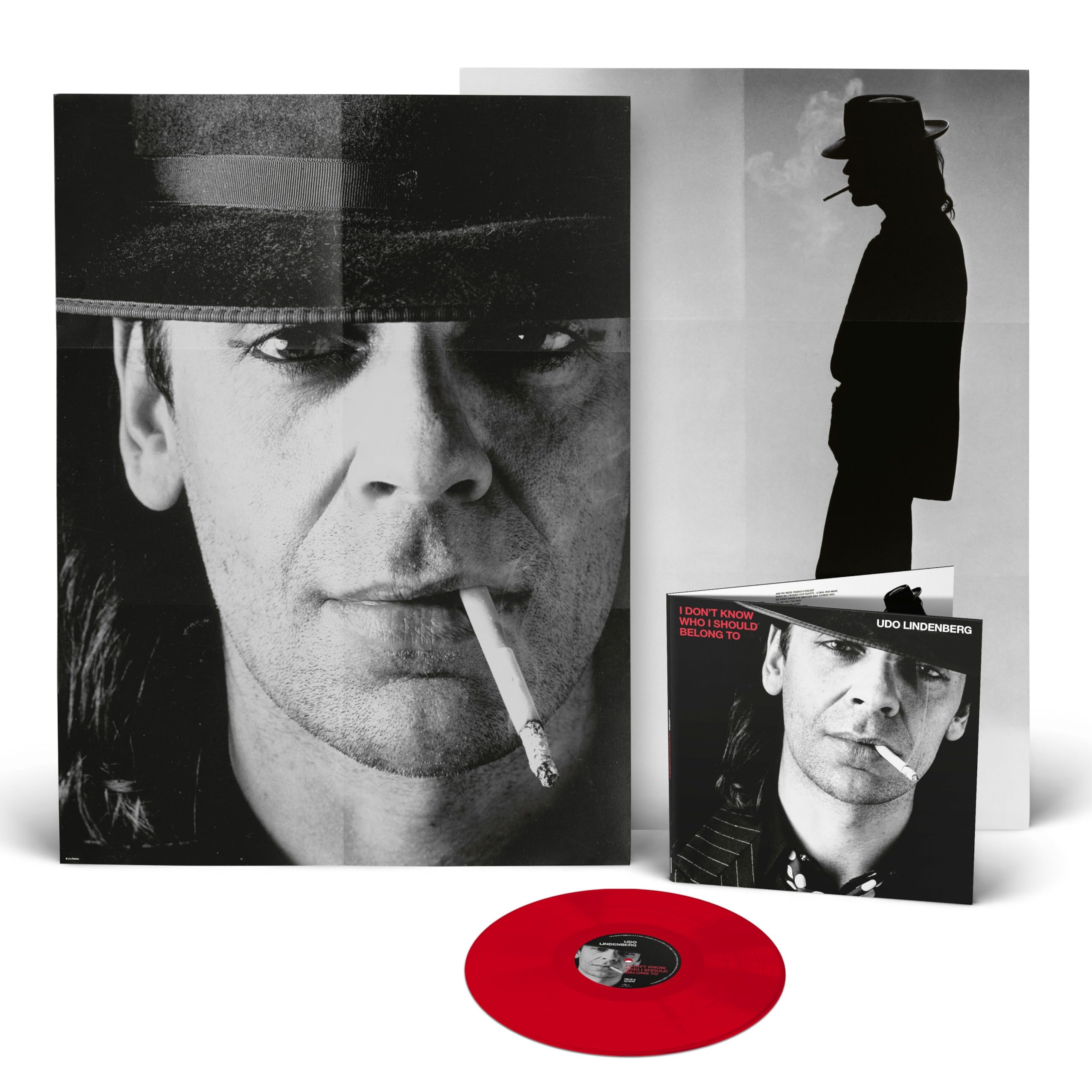 I Don't Know Who I Should Belong To (1LP Rot) Pop