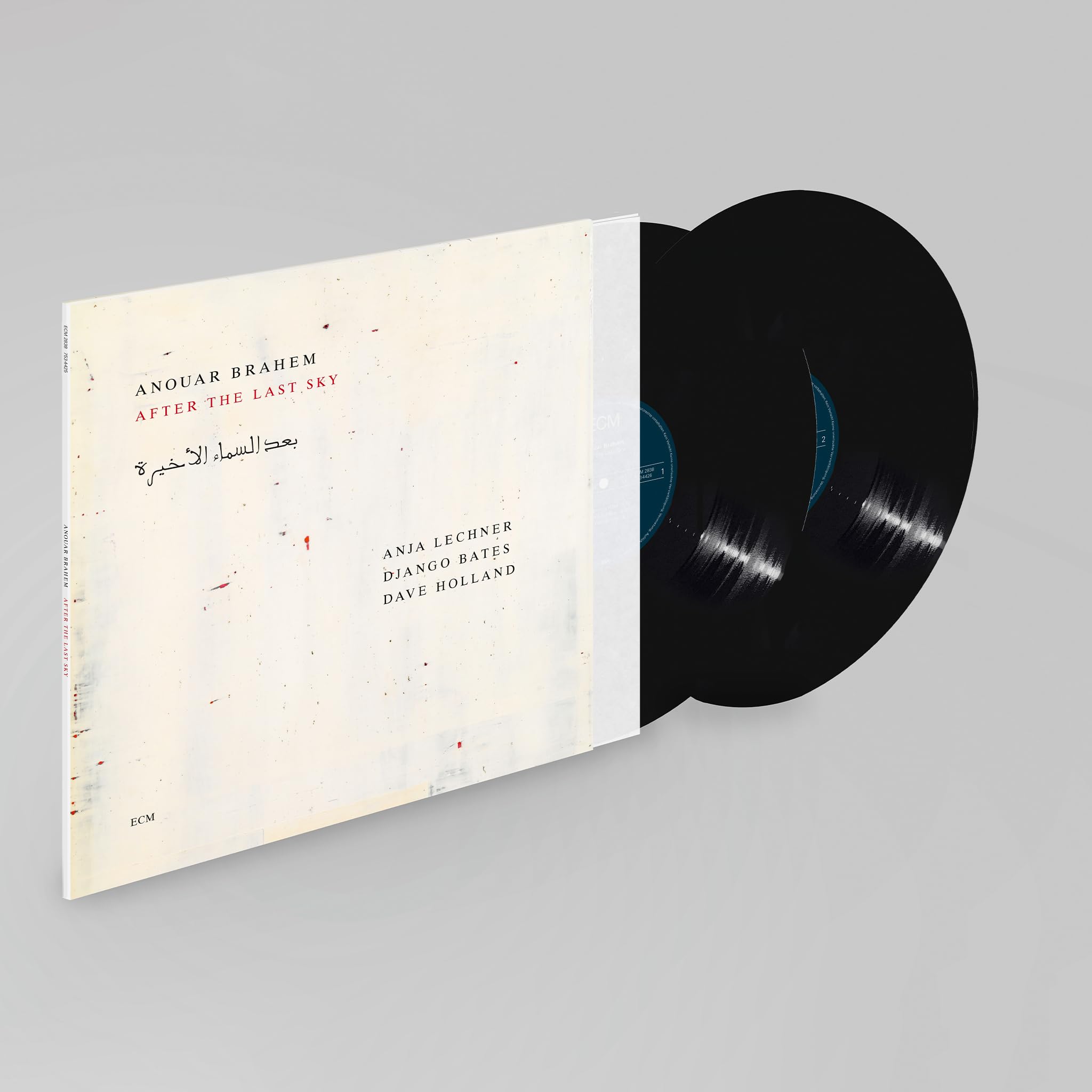 Product Image: After The Last Sky
