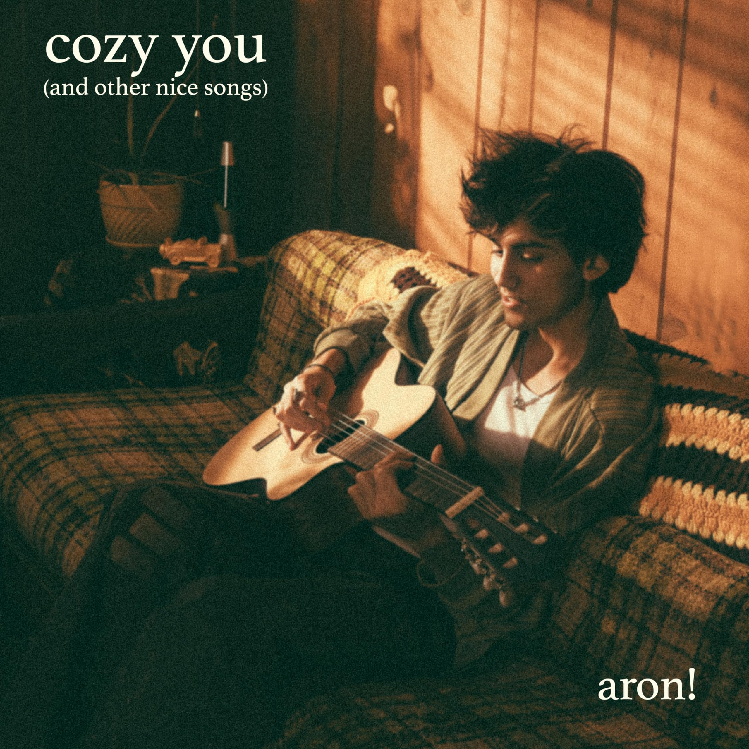 Product Image: cozy you (and other nice songs)