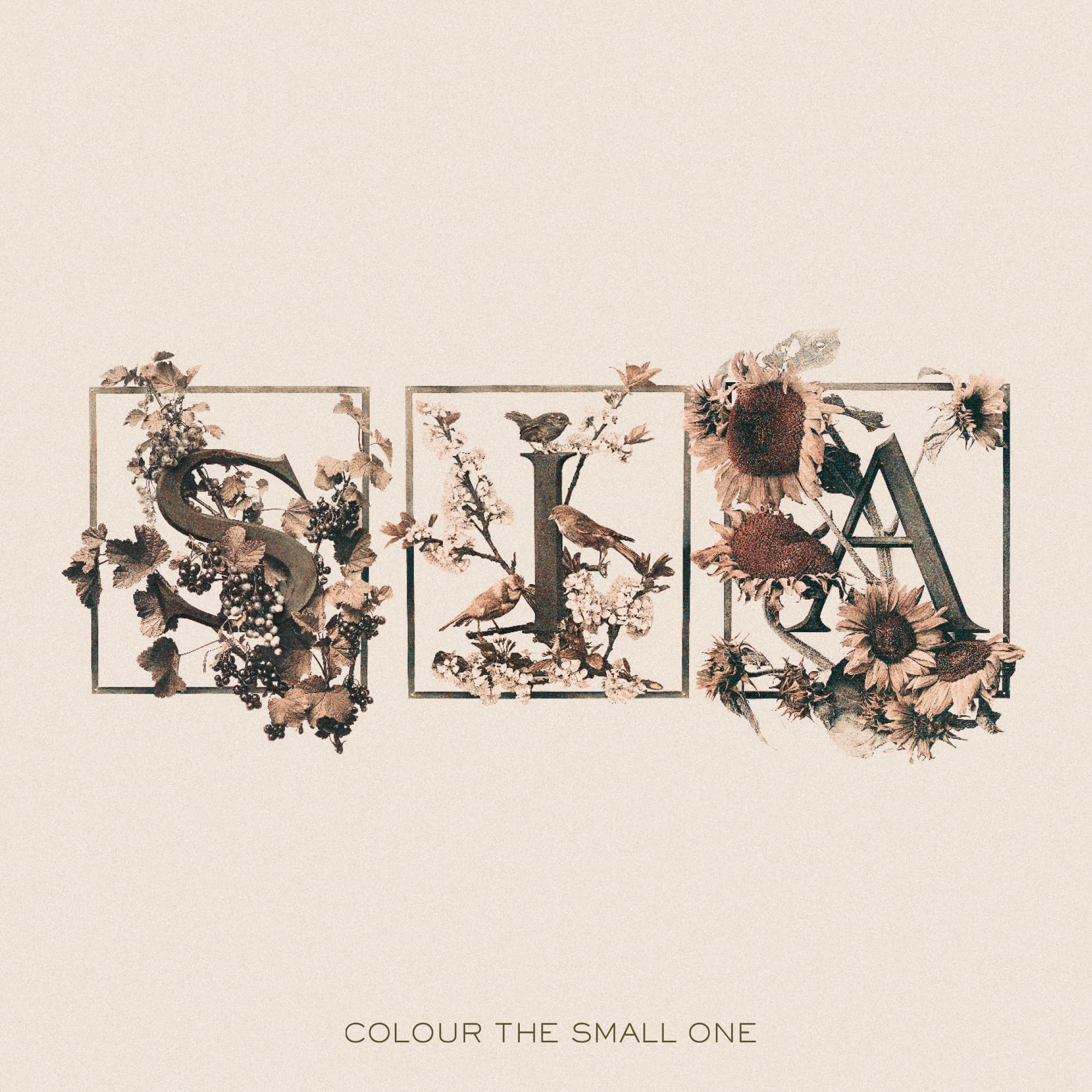 Product Image: Colour the Small One