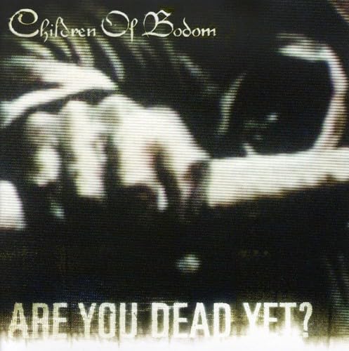 Are You Dead Yet Metal & Hardrock
