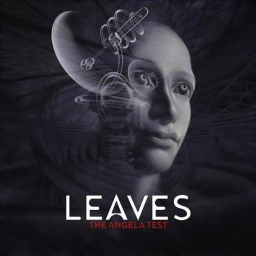 Product Image: The Angela Test